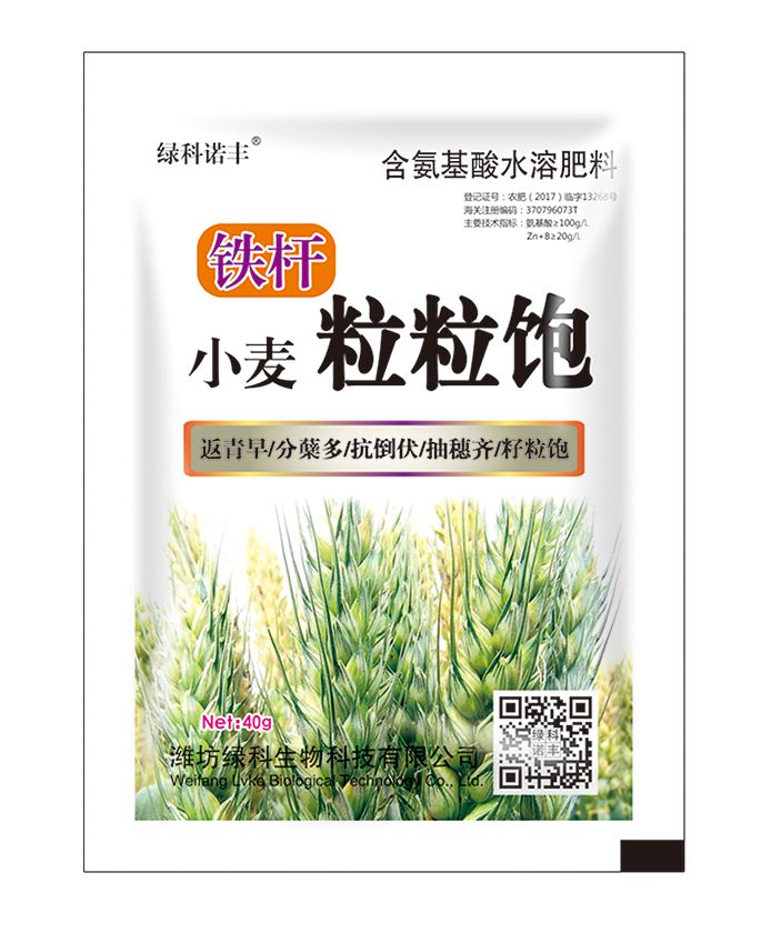 铁杆 小麦粒粒饱 40g单袋 含氨基酸水溶肥料 绿科
